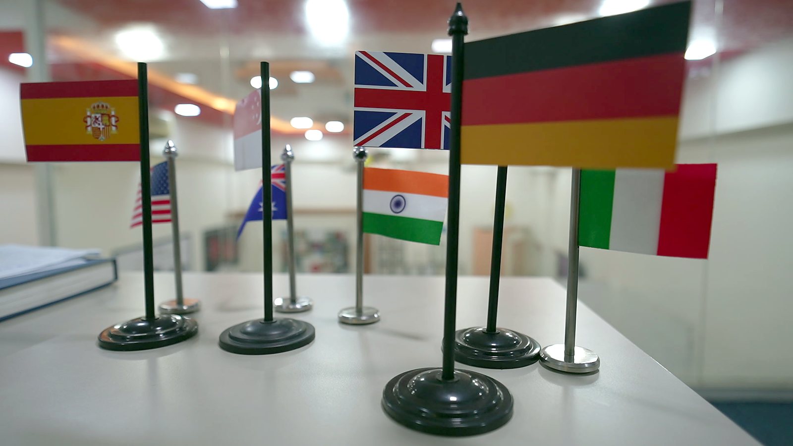 Desk flags of the countries we advise on